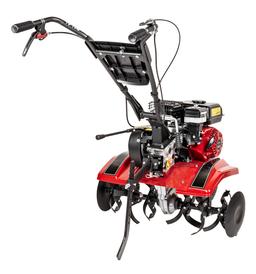 Cedrus CEDRUSGL05 CEDRUSGL05 na wynajem