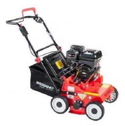 Weibang WB384RB na wynajem