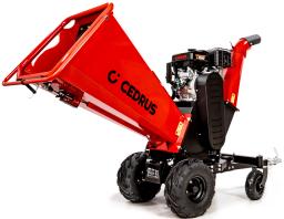 Cedrus RB04 PRO-E na wynajem