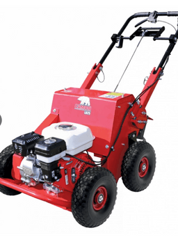 CAMON LA25 na wynajem