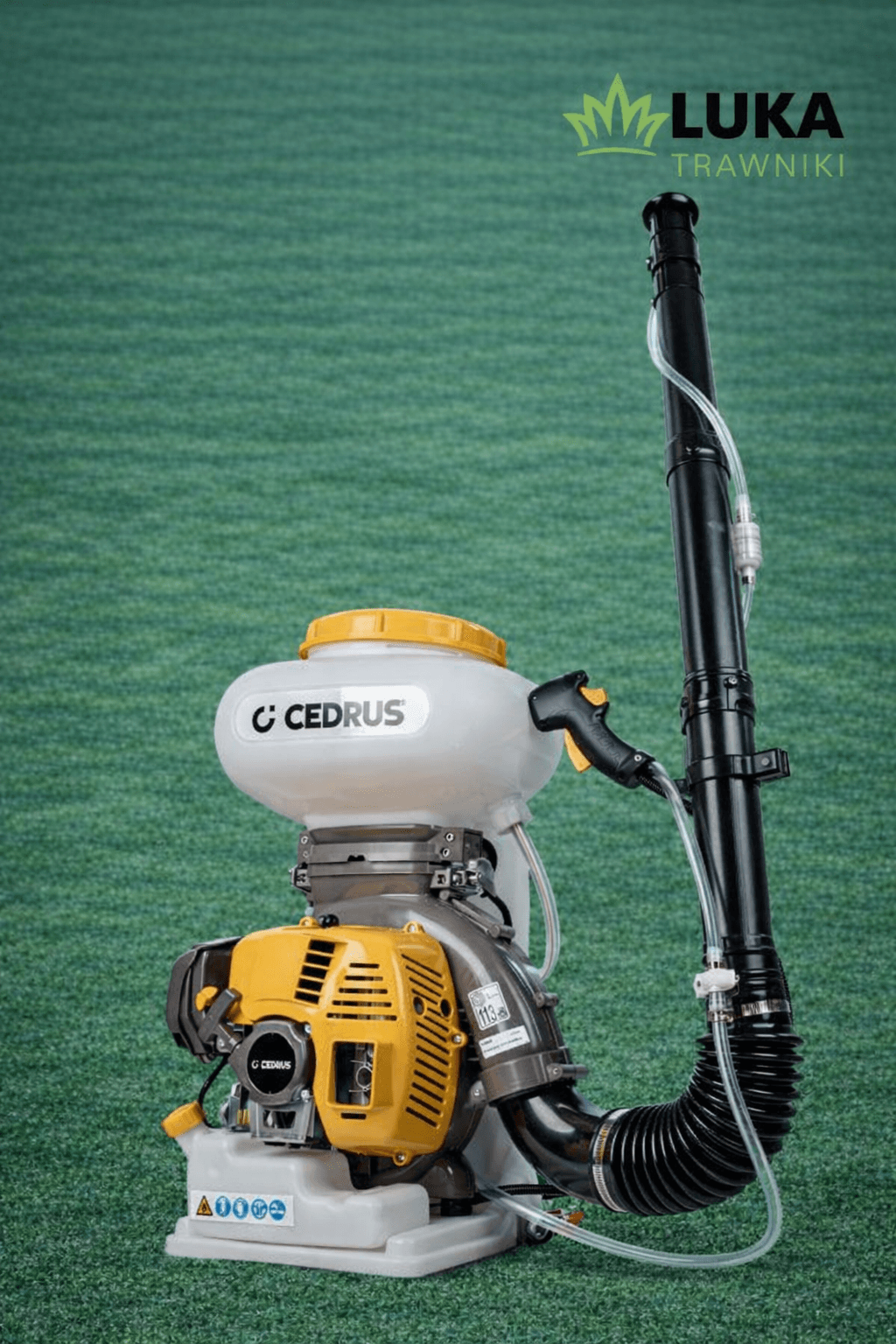 Cedrus CEDOP04 na wynajem