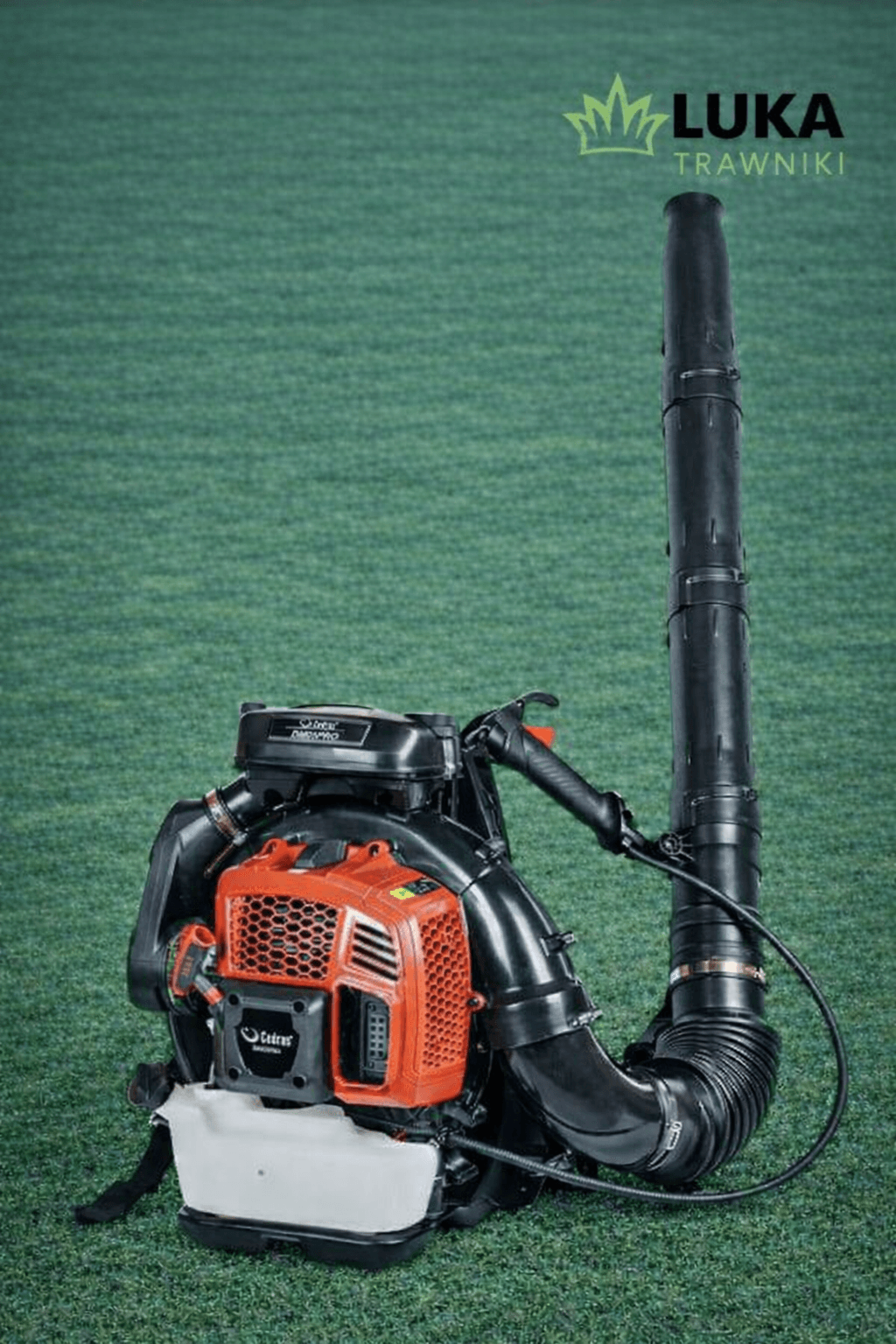 Dmuchawa do liści Cedrus DM05PRO na wynajem