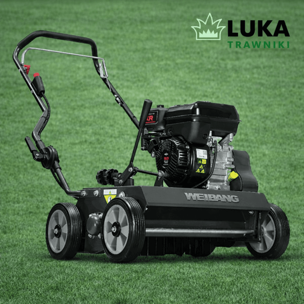 Weibang WB486CRB na wynajem - 1