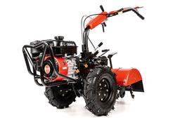 CEDRUS GLX640 na wynajem