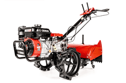 CEDRUS GLX540 na wynajem