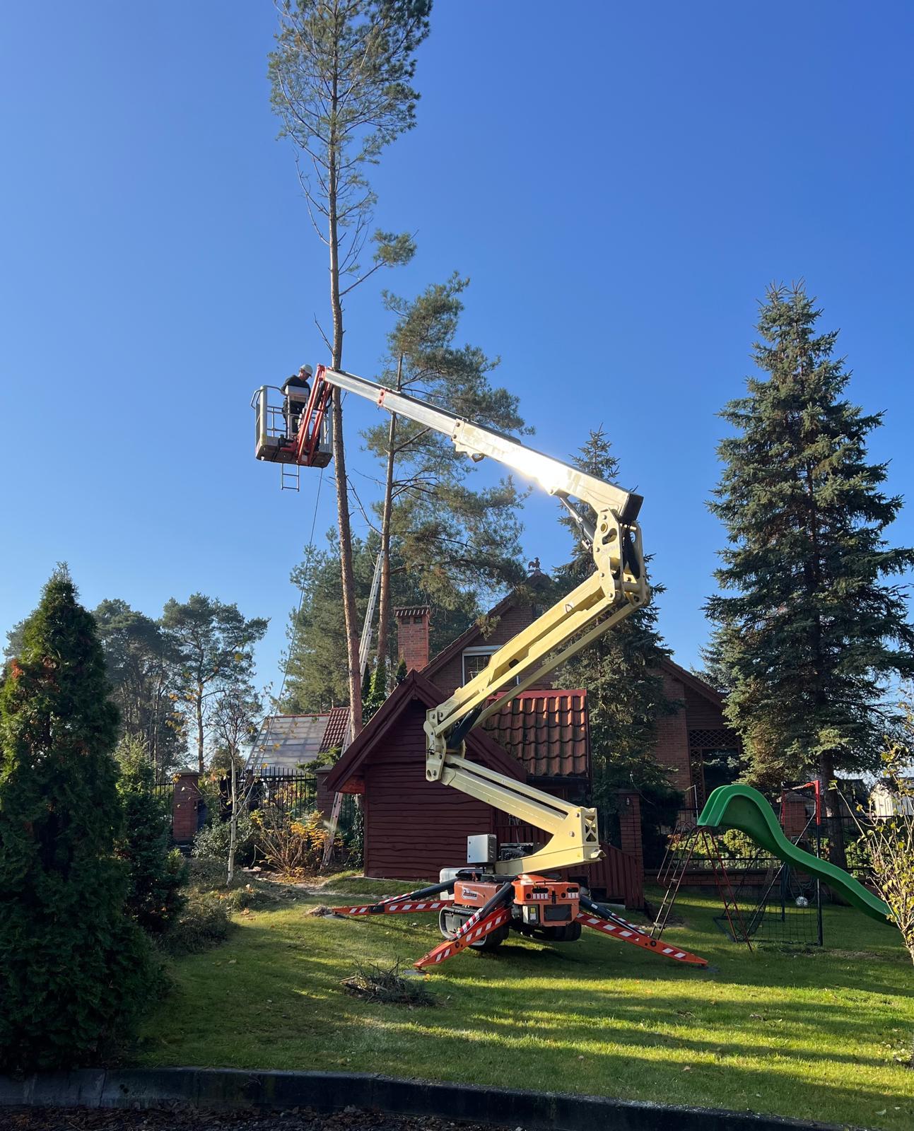 JLG X20JP na wynajem - 1