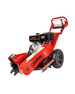 CEDRUS  FR01 na wynajem