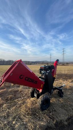 Cedrus rb04 pro-e na wynajem