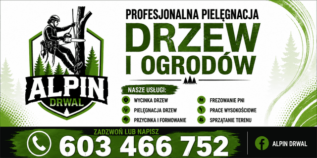 Alpin Drwal