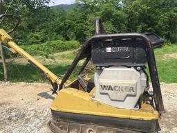 WACKER DPU 6055 na wynajem
