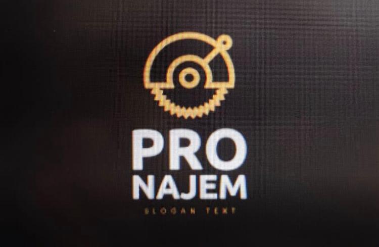 PRO-NAJEM logo