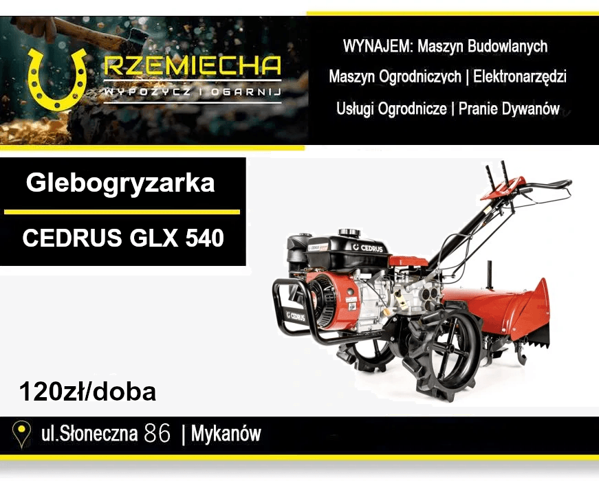 Glebogryzarka spalinowa CEDRUS GLX540 7KM z napędem na wynajem