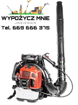 Cedrus  DM05 na wynajem