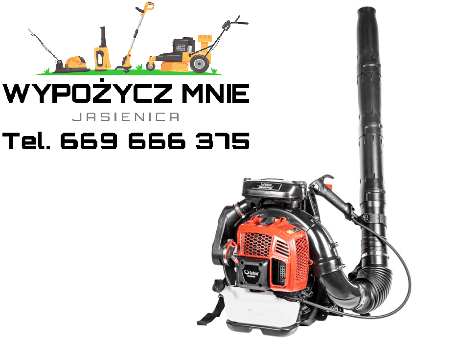 Cedrus CEDDM05PRO na wynajem