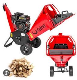 Cedrus RB 02 na wynajem