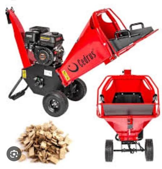 Cedrus RB 02 na wynajem