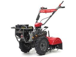 Hortmasz HGS X 620N na wynajem