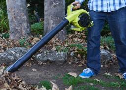 Zdjęcie Dmuchawa Spalinowa Ryobi RBV26B na wynajem w Rentools