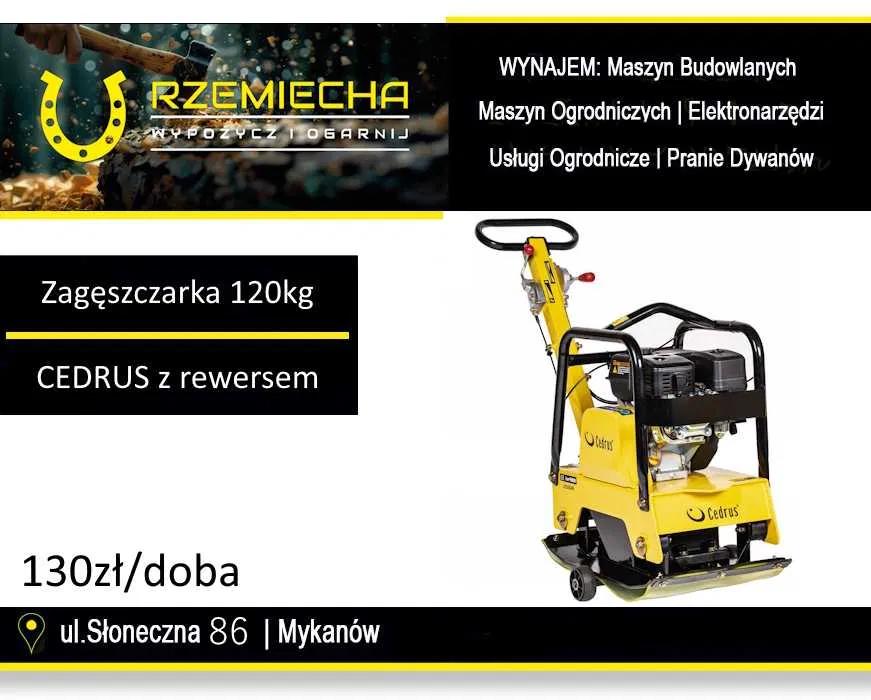 Zagęszczarka CEDRUS ZG06 122kg z rewersem na wynajem